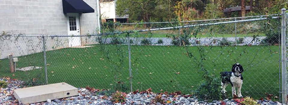 Fenced-in Play Area